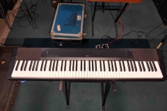 Casio Privia CDP120 - SOLD