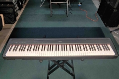 Yamaha P95B - SOLD
